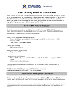 NAP: Making Sense of Calculations
