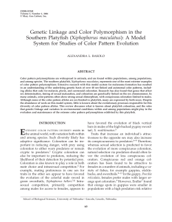 Genetic Linkage and Color Polymorphism in the