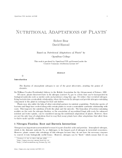 Nutritional Adaptations of Plants