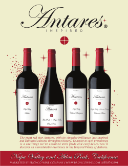 Family Sell Sheet - Bronco Wine Company