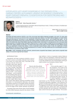 hypoplastic left heart syndrome at the tertiary fetal
