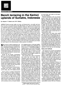 Bench terracing in the Kerinci uplands of Sumatra, Indonesia