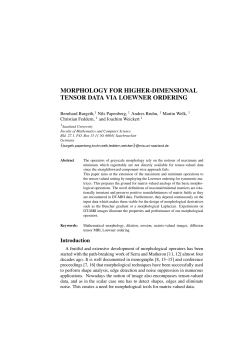 morphology for higher-dimensional tensor data via loewner ordering