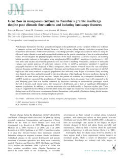 Gene flow in mongooses endemic to Namibia`s granite inselbergs