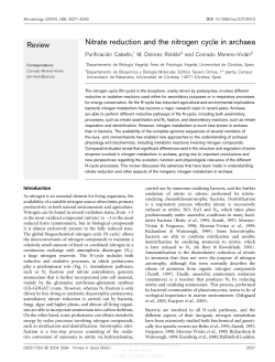 Nitrate reduction and the nitrogen cycle in archaea