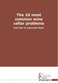 The 10 most common wine cellar problems