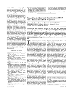 Primer-Directed Enzymatic Amplification of DNA with a