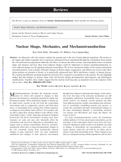 Nuclear Shape, Mechanics, and Mechanotransduction