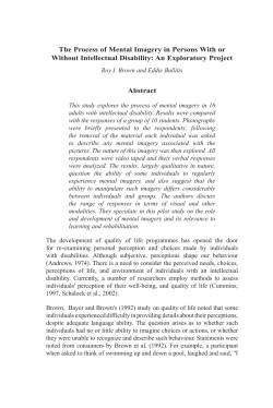 The Process of Mental Imagery in Persons With or Without