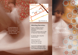 brochure - Wellington Study Group
