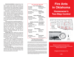 Fire Ants in Oklahoma Homeowner`s Two