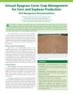 Annual Ryegrass Cover Crop Management for