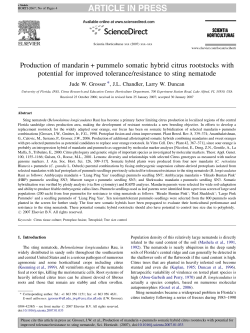 Production of mandarin+ pummelo somatic hybrid citrus rootstocks