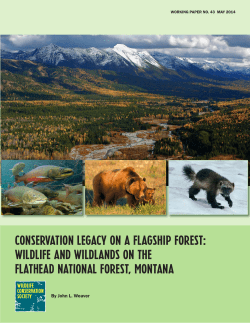 Conservation Legacy on a Flagship Forest: Wildlife and Wildlands