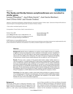 The Sas3p and Gcn5p histone acetyltransferases are recruited to