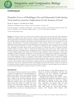 Propulsive Forces of Mudskipper Fins and Salamander Limbs