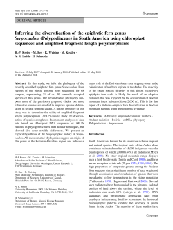 Inferring the diversification of the epiphytic fern