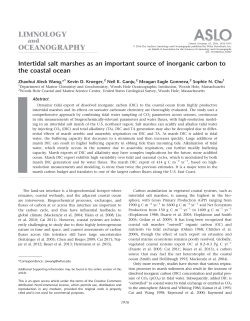 Intertidal salt marshes as an important source of inorganic carbon to