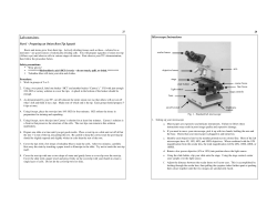Mitosis/Meiosis Protocol