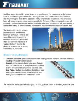 Neptune&reg; Chain Advantages: We have the perfect solution for you