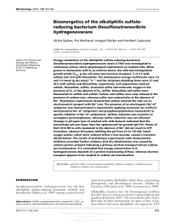 Bioenergetics of the alkaliphilic sulfate- reducing