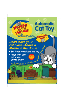 Automatic - Cat Dancer