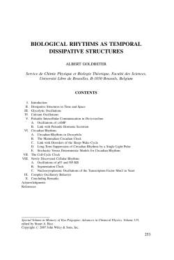 Biological Rhythms as Temporal Dissipative Structures