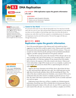 DNA Replication