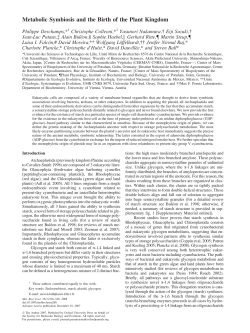 Metabolic Symbiosis and the Birth of the Plant