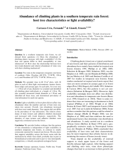 Abundance of climbing plants in a southern temperate rain forest