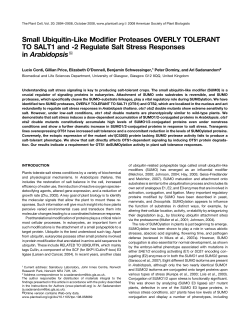 Small Ubiquitin-Like Modifier Proteases OVERLY