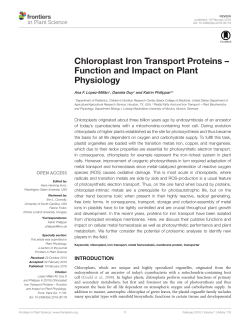 Chloroplast Iron Transport Proteins &ndash; Function and Impact on Plant