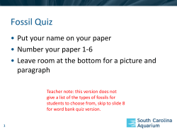 Fossil Quiz