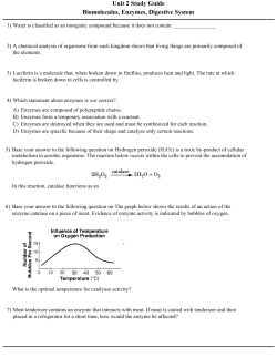 Unit 2 Study Guide Biomolecules, Enzymes, Digestive System