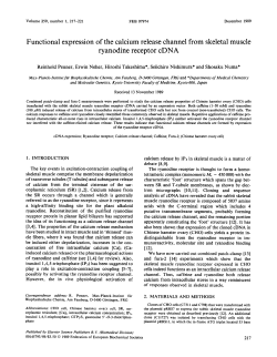 Functional expression of the calcium release channel from skeletal
