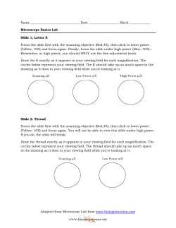 Adapted from Microscope Lab from www.biologyjunction.com www