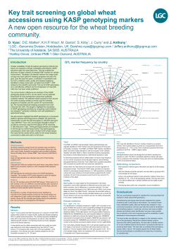 Key trait screening on global wheat accessions using