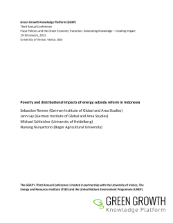 Poverty and distributional impacts of energy subsidy reform in