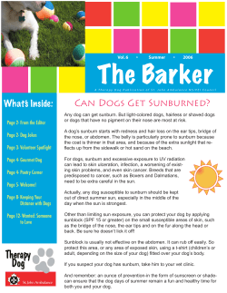 The Barker - SJA Therapy Dog