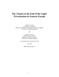 The Tunnel at the End of the Light: Privatization in Eastern Europe