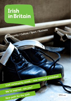 Community / Culture / Sport / Business Irish community needs &ndash; new