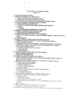 Study Guide For The Digestive System Chepter 24 A. Describe the