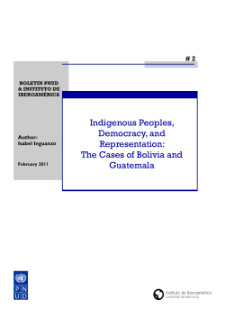 Indigenous Peoples, Democracy, and Representation
