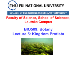 BIO509: Botany Lecture 5: Kingdom Protista
