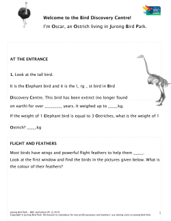 the Bird Discovery Centre! I`m Oscar, an Ostrich