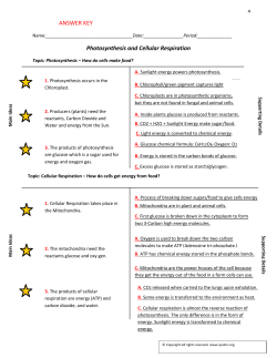 Photosynthesis and Cellular Respiration ANSWER KEY