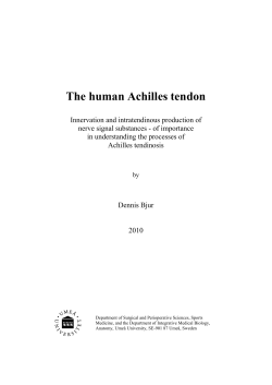 fulltext - UmU DiVA portal