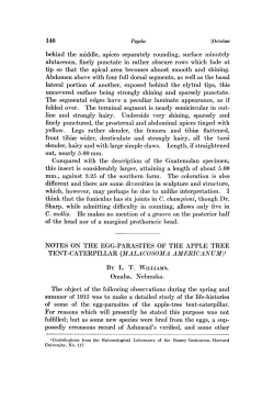 notes on the egg-parasites of the apple tree tent-caterpillar