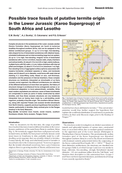 Possible trace fossils of putative termite origin in the Lower Jurassic