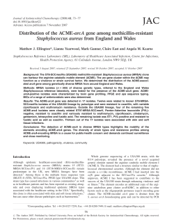 Distribution of the ACME-arcA gene among